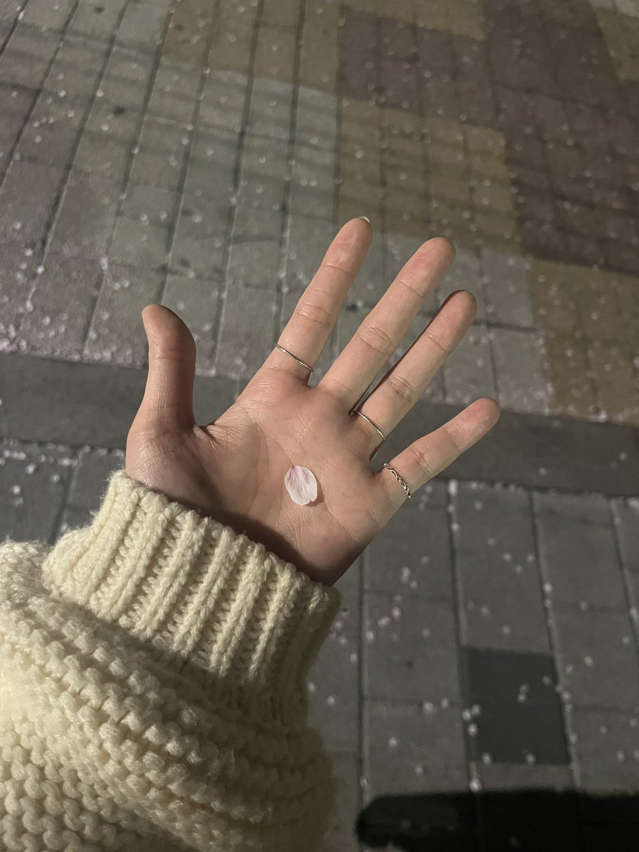자! 내가 잡았으니까 다들 소원 빌어!