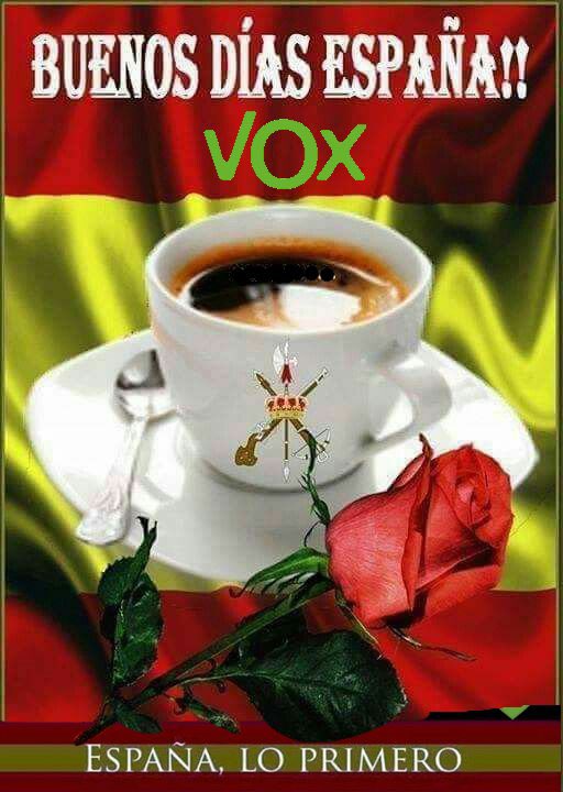 ManuLive666's tweet image. #BuenosDiasEspaña 
#SoloQuedaVox 
#TeamVox 
#ChicasVox52