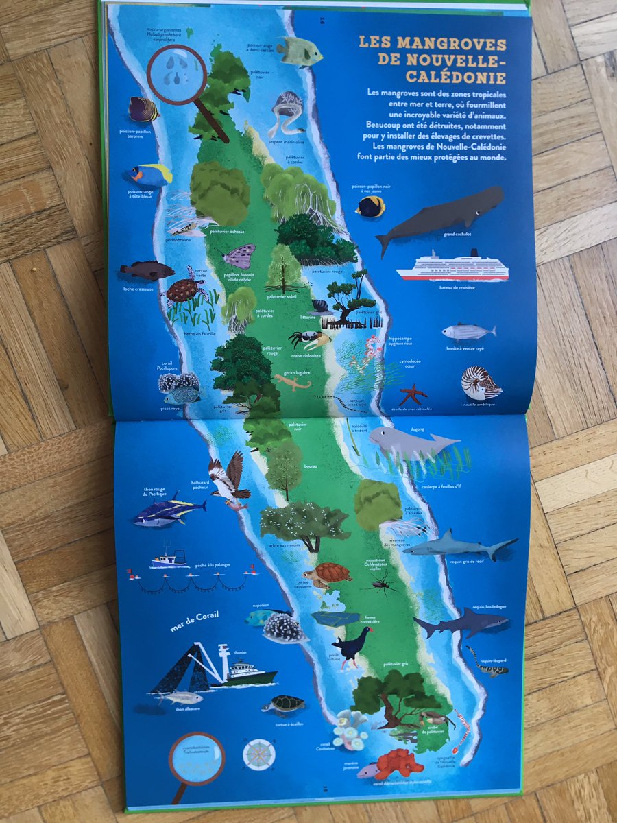 Catherine de Coppet tweet media