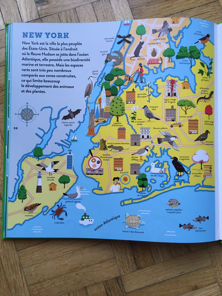 Catherine de Coppet tweet media