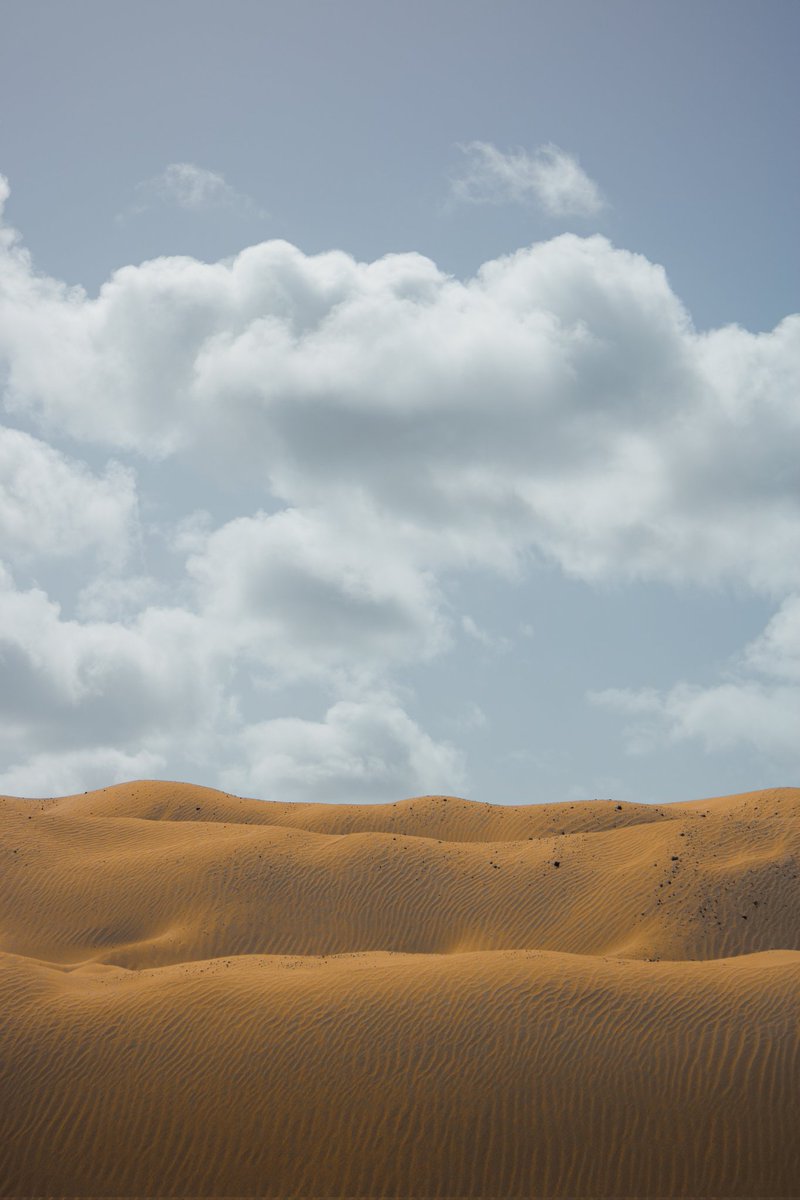 LifeofYo's tweet image. Dunes

Gotta clean that backlog...

#canon750d #lightroommobile #commuting #editing