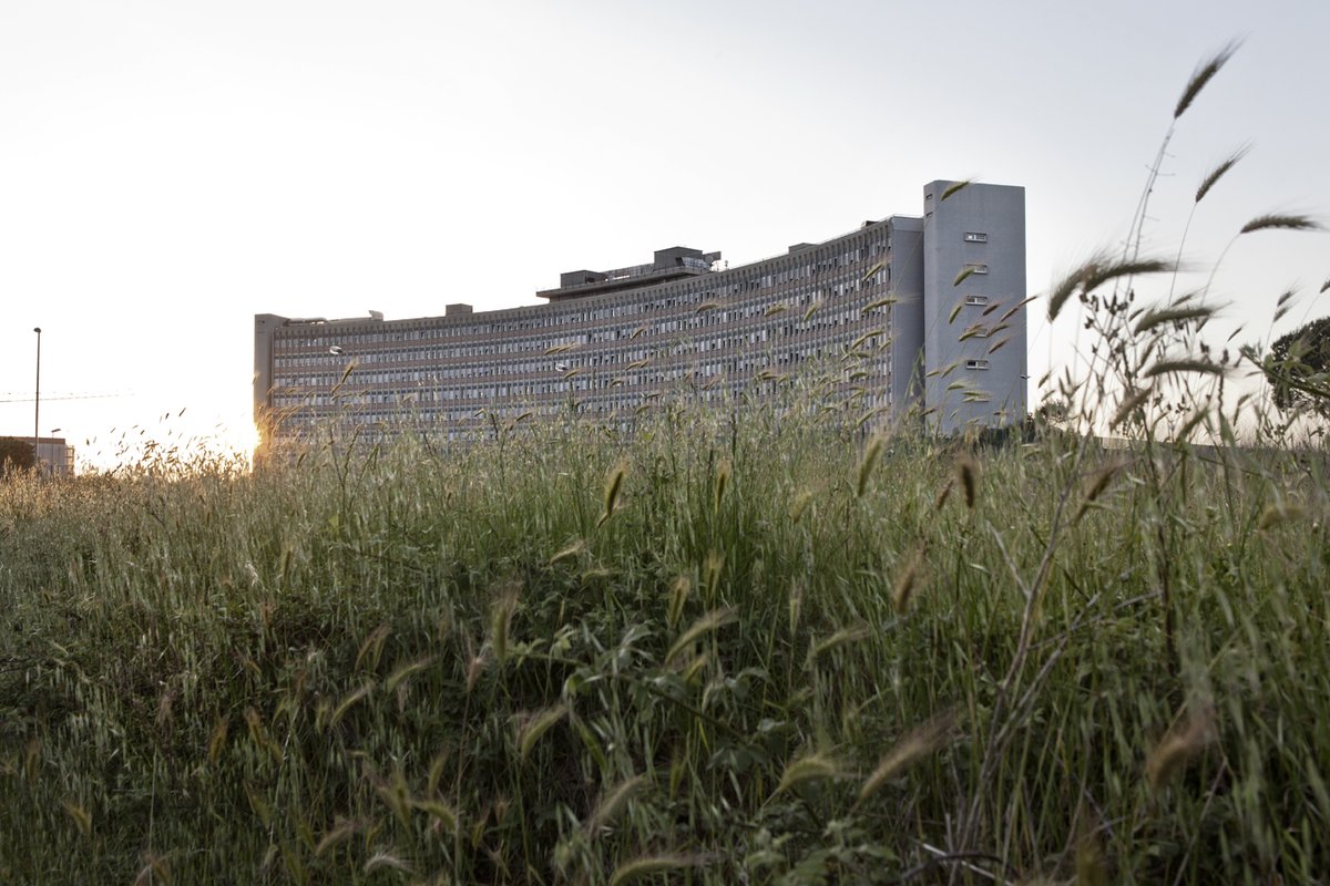 #264 spreaker.com/user/16284684/…

Come si vive con poche centinaia di euro al mese? nel pezzo di <a href="/annalisacamilli/">annalisa camilli</a> su l'Essenziale.

La chiusura del TMB di Rocca Cencia e le possibili conseguenze.

Il problema dei medici a gettone nei pronto soccorso.