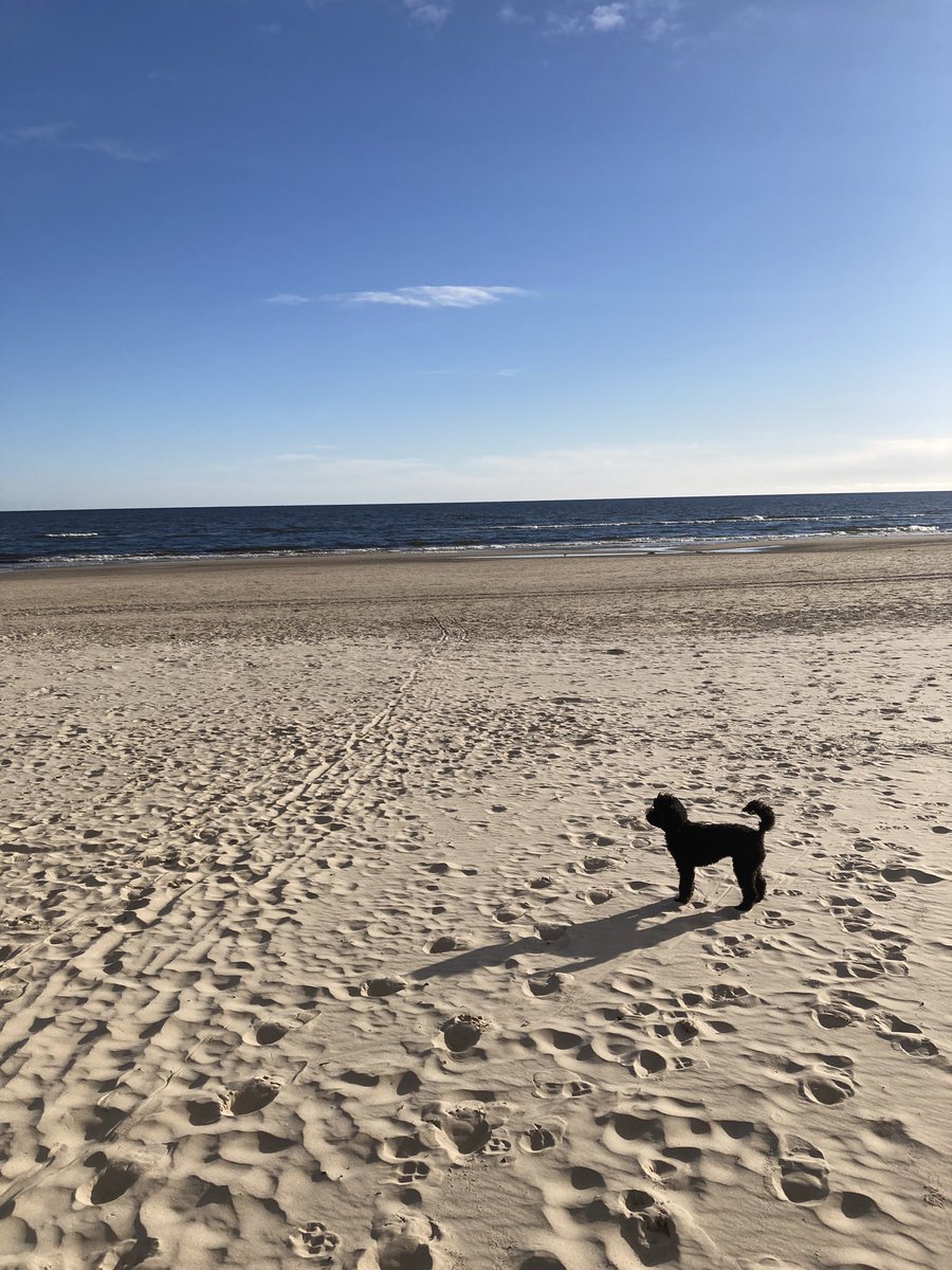 Mit Pudelchen auf Usedom.