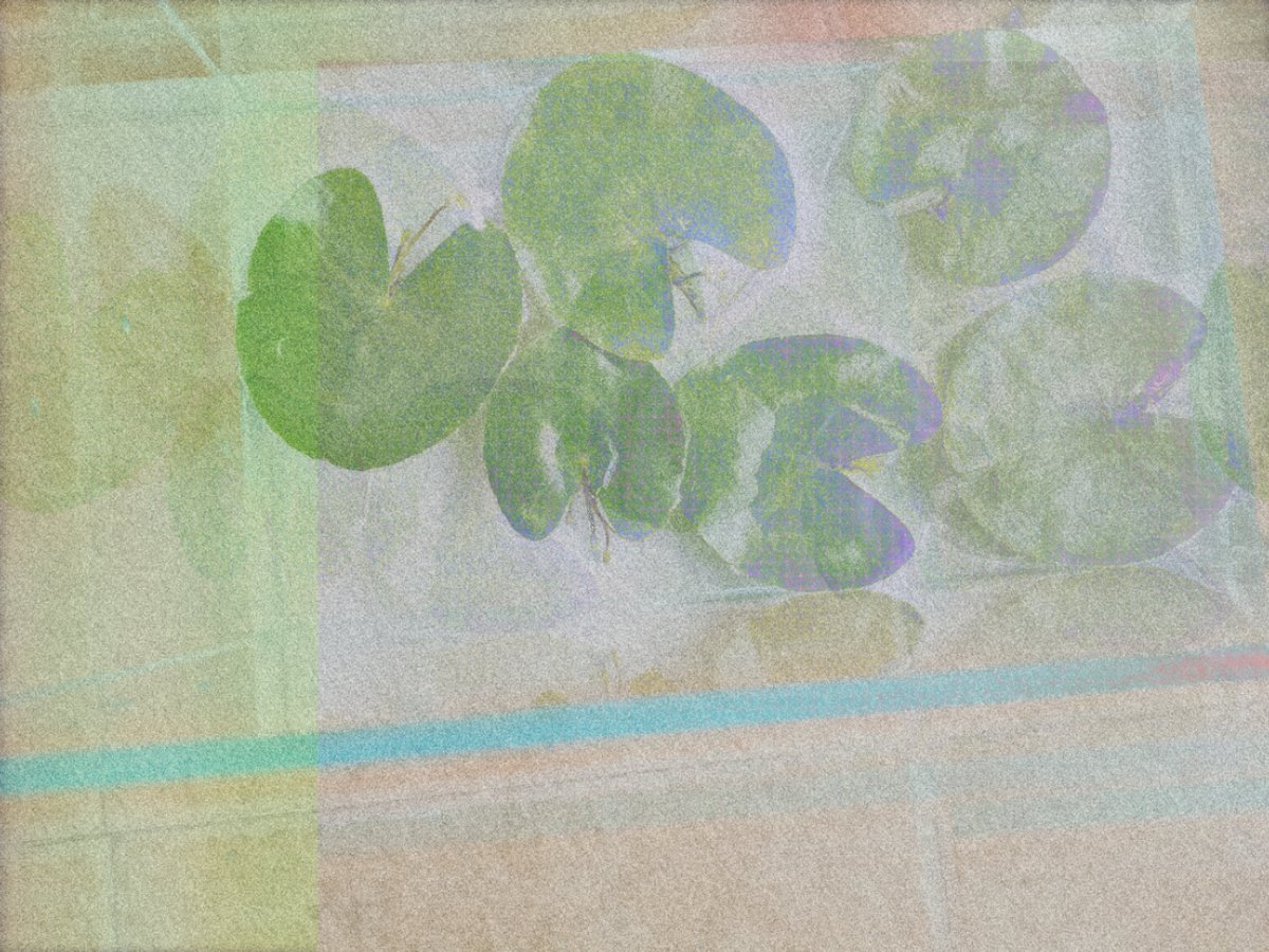 99_hasu's tweet photo. #おはようVtuber

おはようございますﾉ☀

僕、最近睡蓮を育っています。
花小さいてかわいいです☺️🤲

#新人Vtuberお探しですか 
#新人Vtuberを見つけ出せ https://t.co/cyUimUiggt