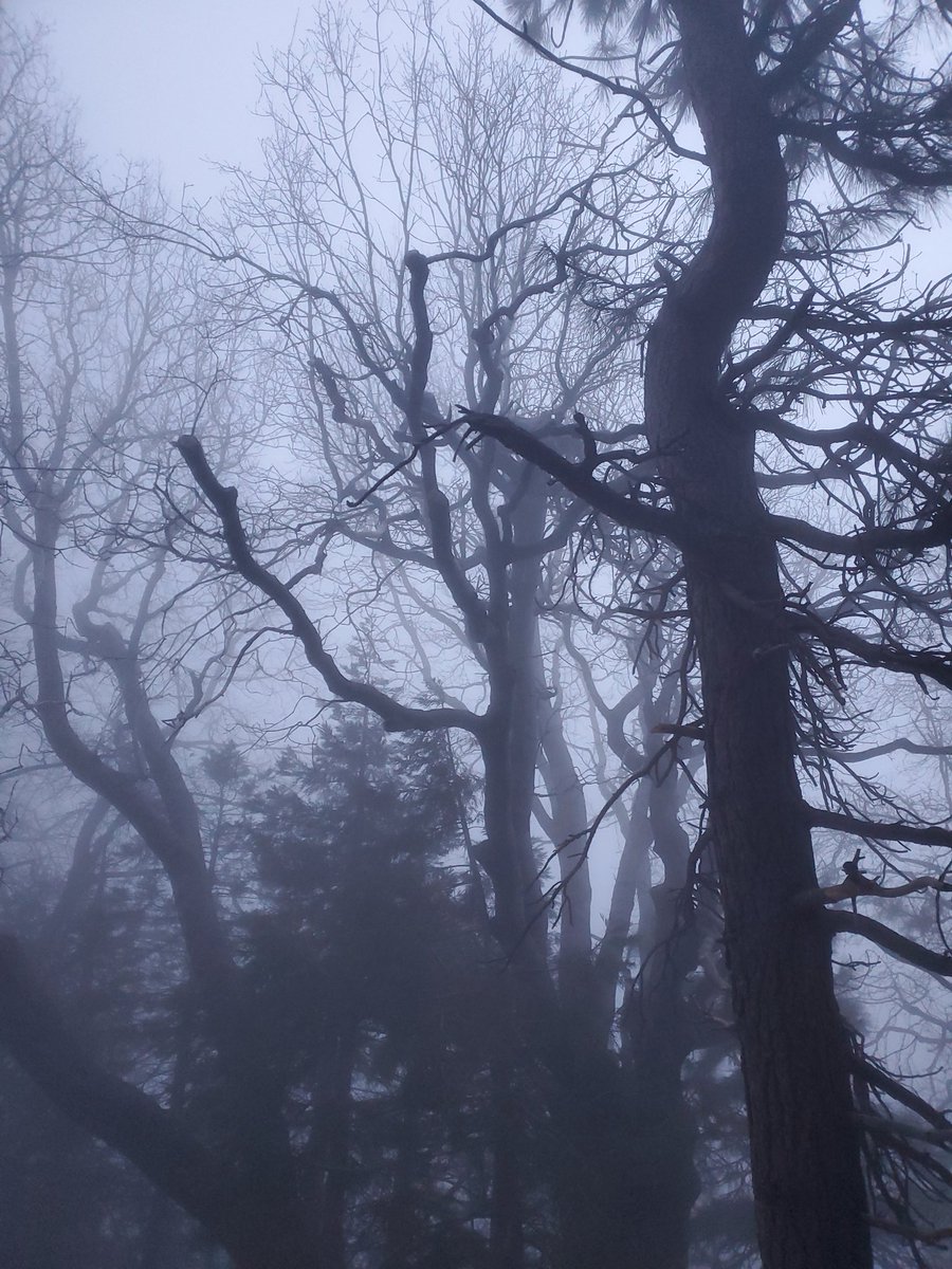darkestjack tweet picture