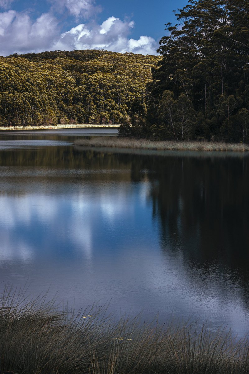 Serene.

#serene #cooloolabindam #photography #landscapephotography #reflections #calm #gothere #canonaustralia #3leggedthing #nisifiltersanz #sandiskapac #shimodadesigns #kuhl #sunshinecoast