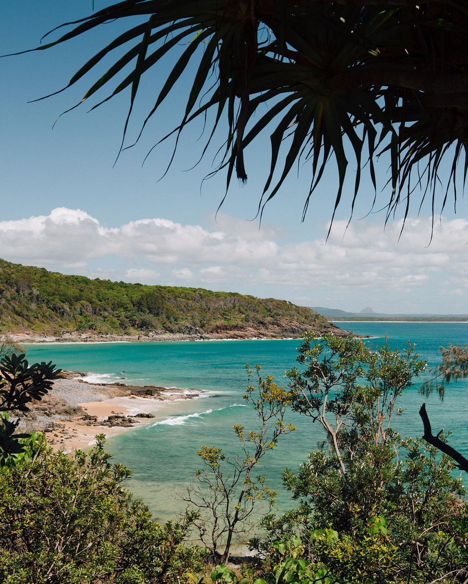 sunshinecoastoz's tweet photo. No you're not dreaming... this is Noosa National Park 😍 Explore the walking trail from #SunshineBeach to #Noosa Main Beach 💙

#visitsunshinecoast #sunshinecoastforreal #sunshinemoment 

📷: @kate_duffy https://t.co/n1ser14Phs