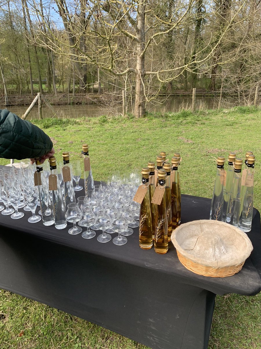 pronckheer tweet media