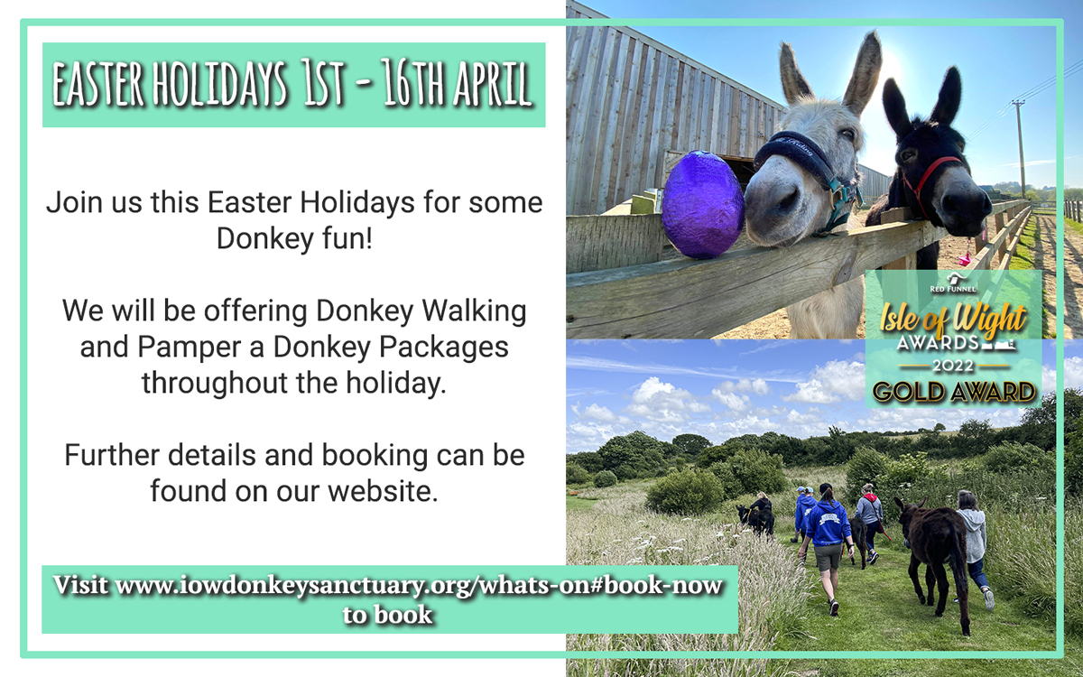 Visit Isle Of Wight (@visitiow) on Twitter photo Easter at <a href="/iowdonkeys/">IOW Donkey Sanctuary</a> 🐴
Head to <a href="/iowdonkeys/">IOW Donkey Sanctuary</a> this #Easter and meet the residents, go on a donkey walk, take part in the Easter Egg Hunt, enjoy live music, and much more!
ℹ️Find out more: bit.ly/EasterDonkeySa…
#IsleofWight #IOW #HantsDaysOut #UNESCO #AONB #YearoftheCoast Easter at <a href="/iowdonkeys/">IOW Donkey Sanctuary</a> 🐴
Head to <a href="/iowdonkeys/">IOW Donkey Sanctuary</a> this #Easter and meet the residents, go on a donkey walk, take part in the Easter Egg Hunt, enjoy live music, and much more!
ℹ️Find out more: bit.ly/EasterDonkeySa…
#IsleofWight #IOW #HantsDaysOut #UNESCO #AONB #YearoftheCoast