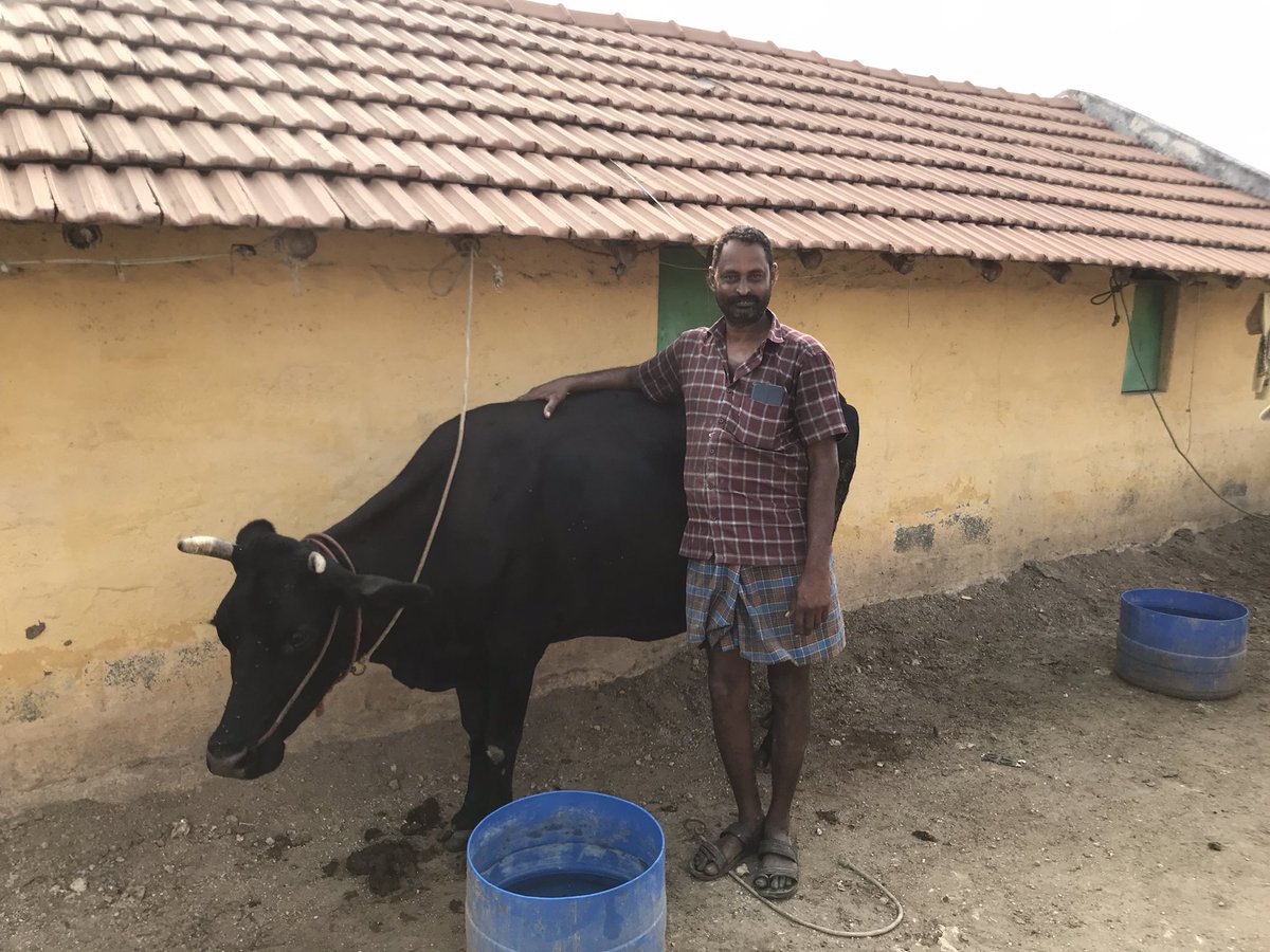 Another great day with @GoveasNikhil and @AmyHughes0117 talking with #dairyfarmers in Tamil Nadu about #innovation! Finding ways that work to support livelihoods and climate resilience. Many thanks to @thanammalraju and #ABTdairy for hosting! @GrowingReturns @EnvDefenseFund