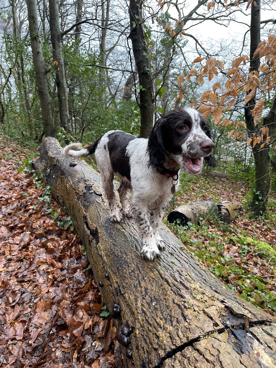 Deirdre Makepeace tweet media