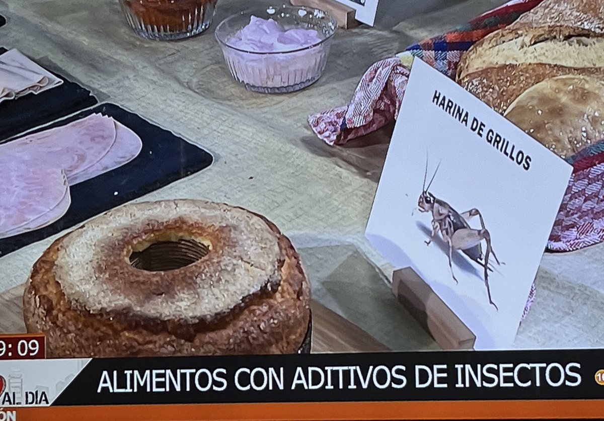 ____Belen__'s tweet photo. Buenos días ☕️☕️🇪🇸💚
No me quiero enfadar ya tan temprano, pero se puede saber por qué nos imponen comida hecha con insectos sin informar ℹ️ u ocultando el put0 ingrediente 🤮🤮
Sobrasada sin pimentón, dulces con harina de saltamontes y luego figura en ingredientes #E120 #E904 https://t.co/nsoNlm0YFr