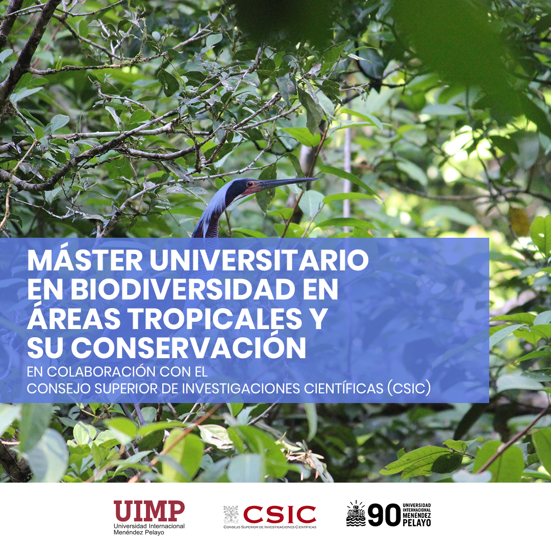 📣Ya está abierto el plazo de preinscripción para el Máster Universitario en Biodiversidad en Áreas Tropicales y su Conservación. 🤝Con la colaboración y el patrocinio del @CSIC 📎Conoce todo lo relacionado con este #PosgradoUIMP: uimp.es/postgrado/estu… #UIMP2023
