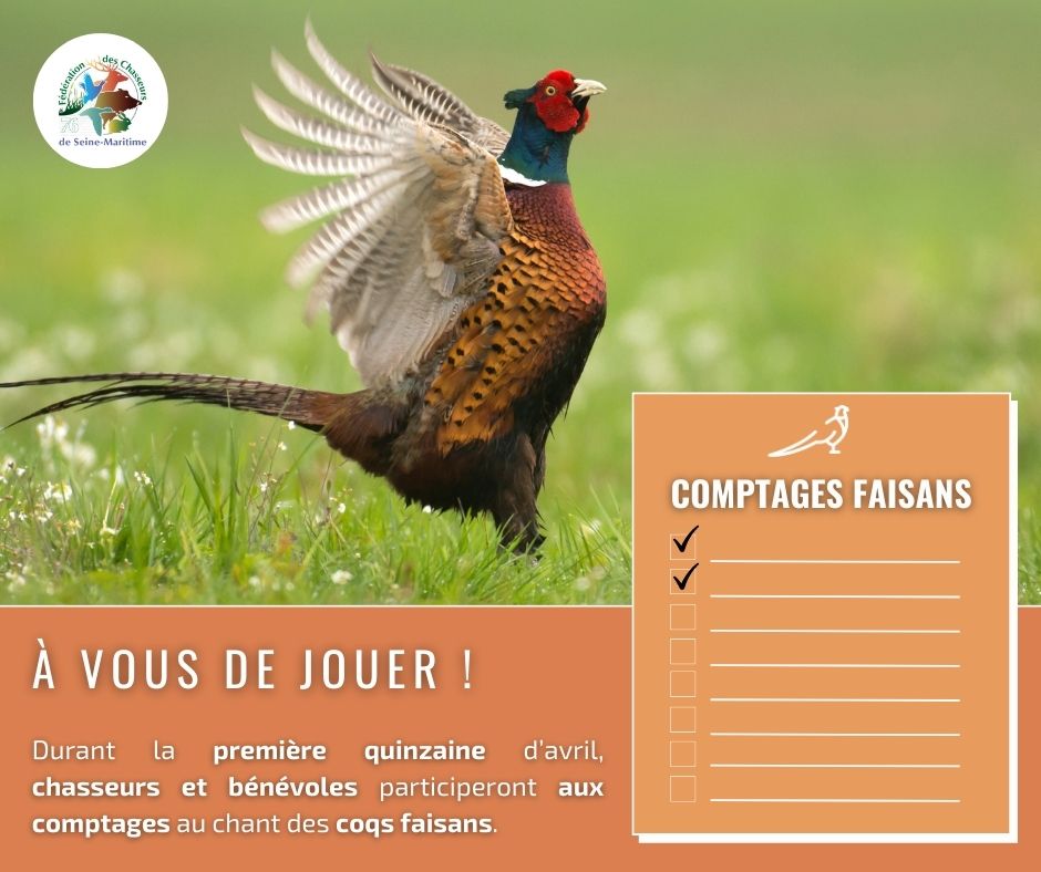 Comptages des coqs faisans 📝

Pendant les 3 premières semaines d'avril, cette opération permettra de recenser les coqs chanteurs afin de déterminer l'indice de densité. Chaque observateur se verra attribuer un secteur d'écoute spécifique. 👌🏻

<a href="/ChasseursFrance/">Chasseurs de France</a> <a href="/LPOFrance/">LPO France</a>