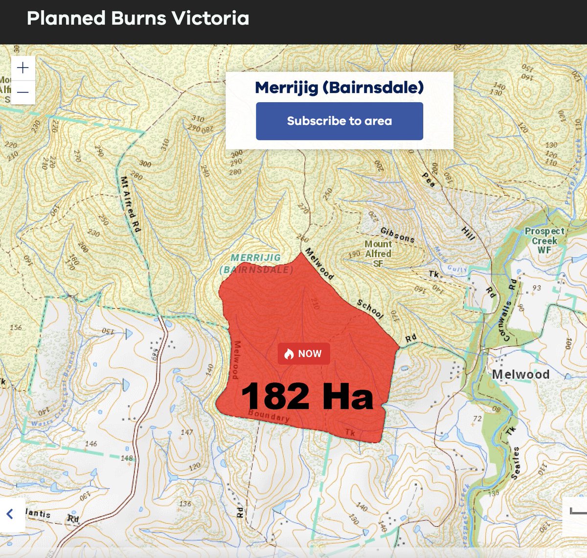 #GunaiKurnaiCountry Mt AlfredSF 182Ha. We fight so hard to save species from logging but #FFMV can light massive fires with no pre or postburn surveys. FFMV know here are old trees, rainforest, masked &amp;sooty owls, koalas, gliders, bandicoots etc etc, but they burn it all anyway