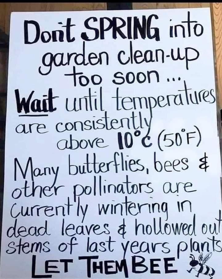 #bee #beekeepers #beerlovers #bumblebee #beekeeper #beepollen #beehive #beehappy #beehives #beehoney #beeswax #beelife #thesecretlifeofbees #savethebees #fortheloveofbees #lovebees  #spring #gardening #savetheplanet #naturelovers #naturelover #beecareful #ourgarden #beesworld