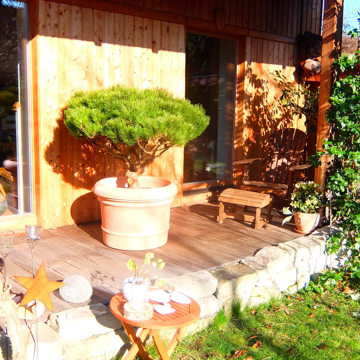 PinarelluPinien's tweet photo. Der Frühling kommt.☀️ Bau dir jetzt deine Wohlfühloase.🌳🌿
#topfpflanzen #pinien #garten #Frühling #baumschule #mediterran #köln #pflanzen #Bitcoin #bäume #Terrasse #nachhaltigkeit #gartendeko https://t.co/piQISjCSnv