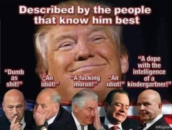 pafsmith_p's tweet photo. @ThisIsKyleR Fraud 45 has been slithering and sliming his way out of trouble since he got out of diapers. NO ONE IS ABOVE THE LAW.  Make no mistake you trigger happy little shit. https://t.co/6nCcMAqyo8