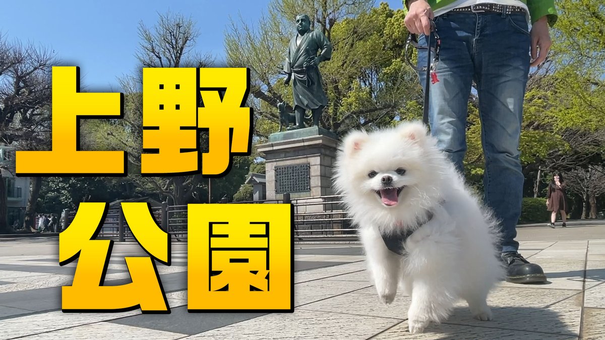 ぽめらにあん様 確認用ページ 日頃の感謝を込めてもちがスタンプを作りました‎ฅ•ﻌ•ฅ 沢山の