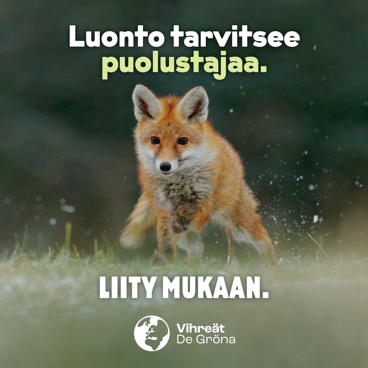 🆘 Niin moni haluaa liittyä joukkoomme, että lomakkeemme ei pysy pystyssä 😅🆘

Teknistä ongelmaa korjataan parhaillaan. Älä siis luovuta, jos ei heti onnistu. Mahdut kyllä mukaan 🫶

Liity sinäkin (mutta vasta hetken päästä): vihreat.fi/liity
