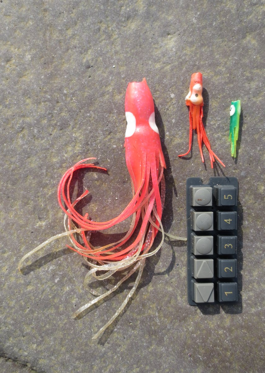 Yesterdays two minute beach clean. Three squid and a keypad #2MinuteBeachClean @2minuteHQ