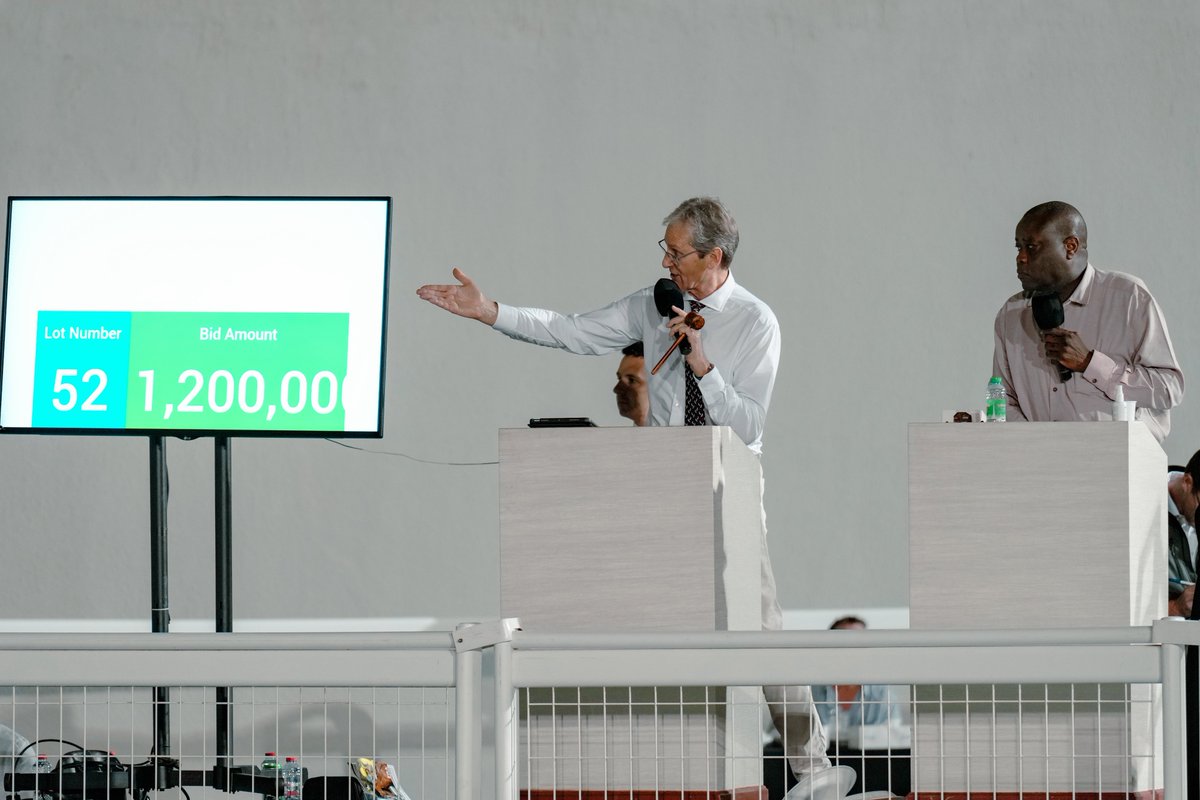 RacingEra's tweet photo. Were you at our record breaking #HitSale last night? https://t.co/jC73nvbrXb