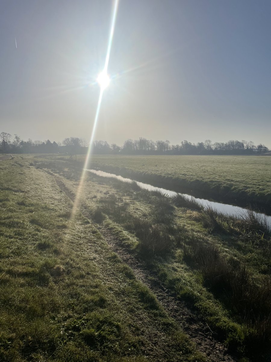 MattShell20's tweet image. GM! 

Touching some grass and sun to get ready for the day☀️. 

Wishing you all a good day❤️‍🔥