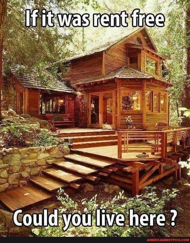 Suzan 🎶 tweet media