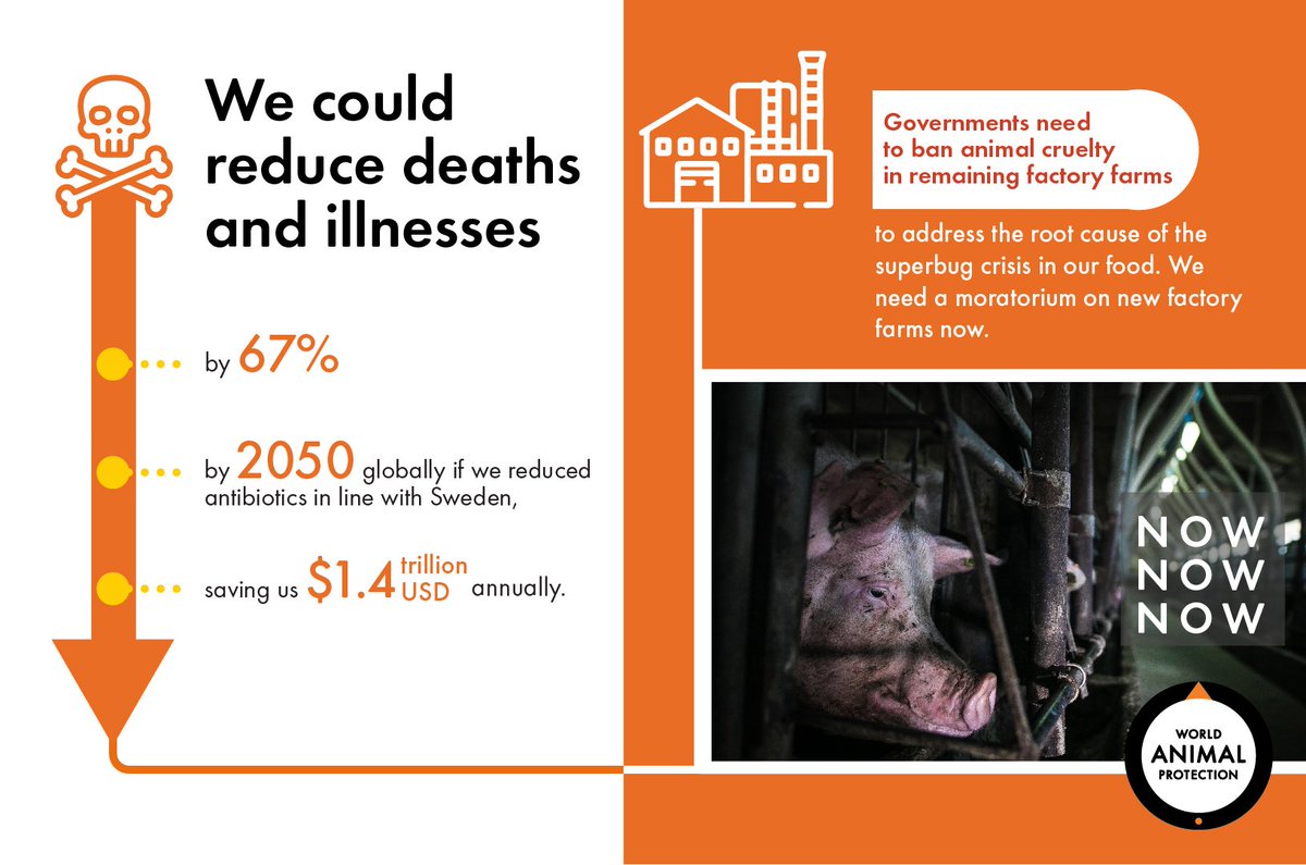 amibadheka's tweet image. Our collective actions can change the way we treat our animals. Join us @MoveTheWorldIN @SciMuseumDelhi @ncsmgoi @MinOfCultureGoI
@iyer_ramdas @fssaiindia @MoHFW_INDIA
@pfindia
#AMR #EndSuperbug #StopFactoryFarming #AdaptGreen #EatBetter