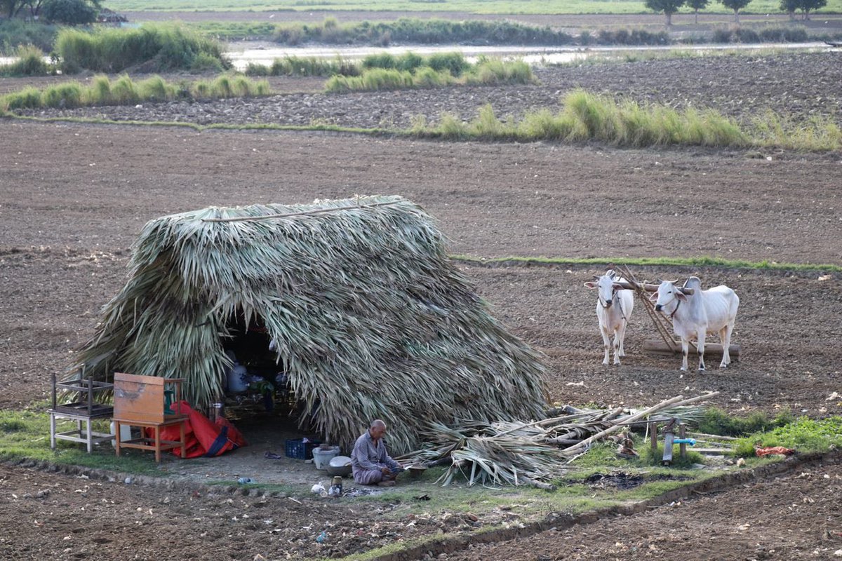 For countless people living across Myanmar today, rising prices, lack of jobs and incomes, and insecurity, means day-to-day survival has become a routine struggle. Putting food on the table and meeting very basic needs is not a given. #WhatsHappeningInMyanmar