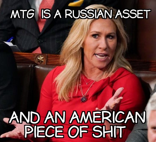 pafsmith_p's tweet photo. @mtgreenee You treasonous treacherous bitch, you and your slimy party are free to move to a fascist country anytime. Just get the FK outta here. https://t.co/wMUNrjNShL