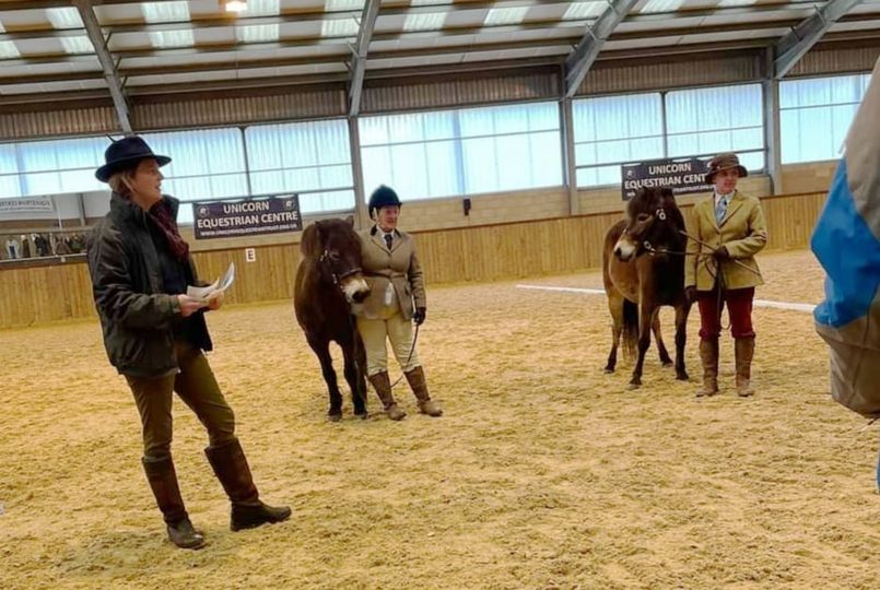 EPS_exmoorpony's tweet photo. The final of the successful Native Pony Roadshow series has been held at Stow on the Wold.
Huge thanks to the team that organised the event and our fantastic Exmoor ponies who were such wonderful ambassadors of the breed.
#exmoorpony #exmoorponies #nativepony #roadshow https://t.co/TERoDn6hm2