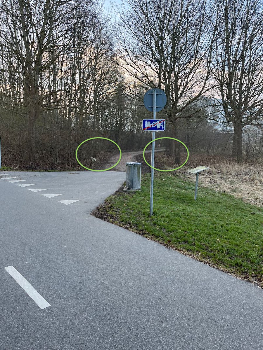 frankhaldtwo's tweet photo. I love my commute to work. Today I saw two deers a few meters from the road. 
They can be hard to see on the images with their natural camouflage, but I have tried to make it easy to spot them. https://t.co/zfggUM3UP6