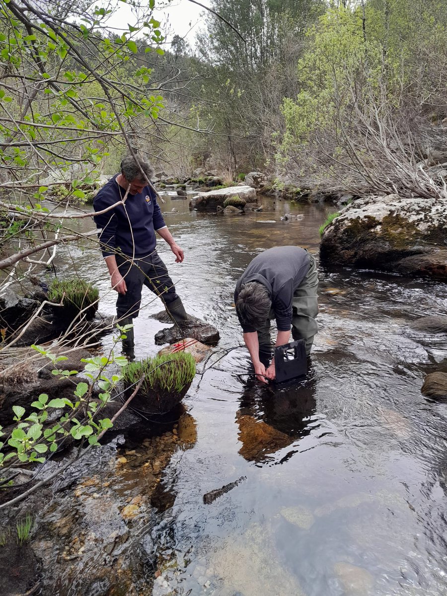 Smart Fishways tweet media