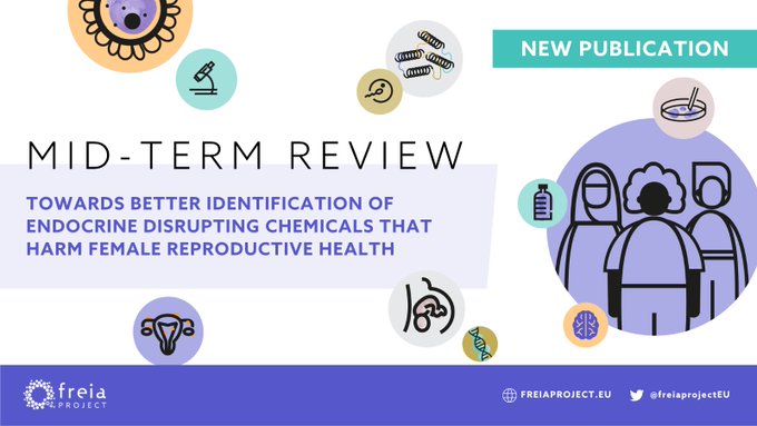 Curious to learn more about how the @freiaprojectEU is helping identify #EndocrineDisruptors that harm female reproductive health? 📰 Visit the new flyer, filled with project milestones and updates! Available in 🇬🇧🇪🇸🇫🇷🇮🇹🇳🇱🇵🇹 ➡️ bit.ly/3yGhmc0