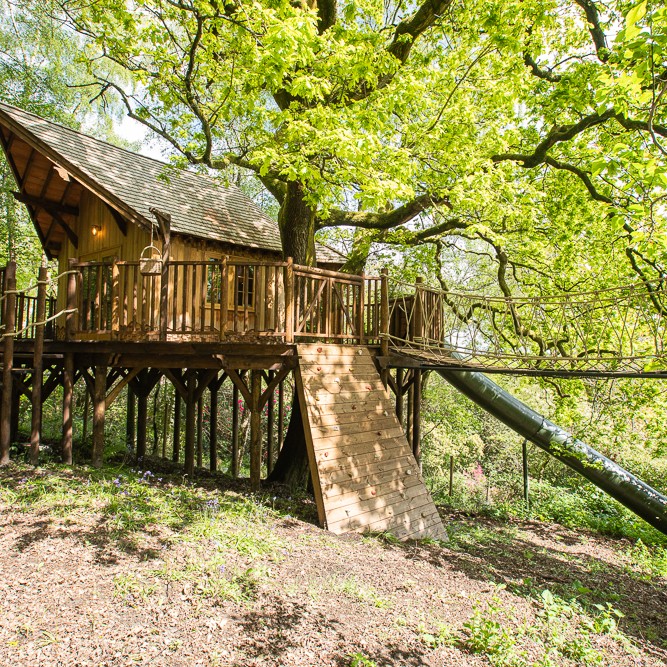 BlueForest_'s tweet photo. Ready to take your treehouse to the next level? Add a slide! 🛷🌲 Not only does it make getting down from the treehouse more fun, but it also adds an element of adventure to a lofty hideout in the trees. #TreehouseFun #SlideIntoAdventure #ChildhoodMemories https://t.co/1xeao7DIlD