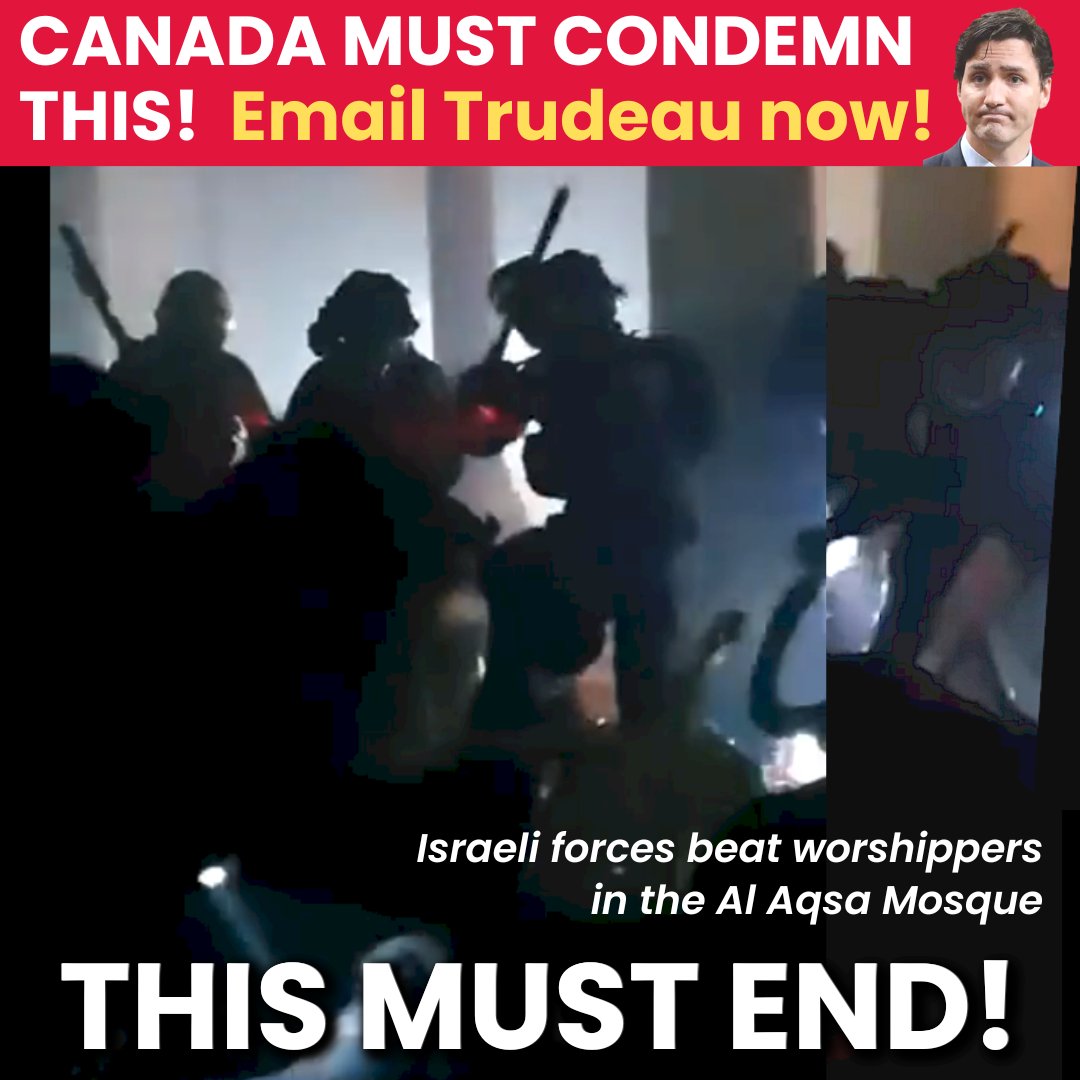 CJPME's tweet photo. Email @JustinTrudeau and demand that Canada condemn horrific Israeli violence at Al Aqsa!  In graphic brutality, Israeli soldiers brutally beat Palestinian worshippers - including women.  https://t.co/KtZPuDsQrt   #cdnpoli #StopArmingApartheid #PalestinianLivesMatter https://t.co/tpaUd5EpTX