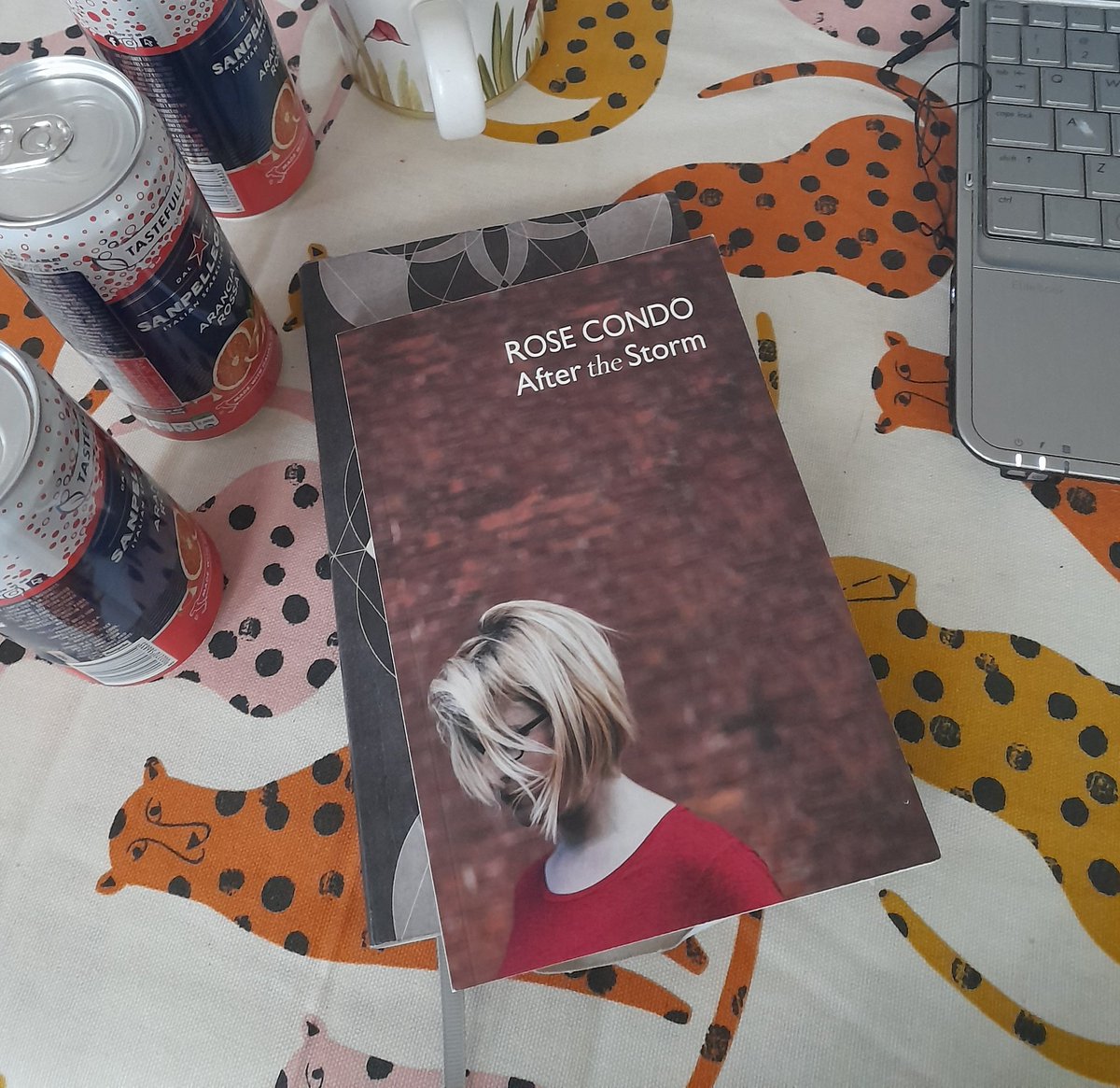 Geneviève L. Walsh 🤘 (@genwalshpoet) on Twitter photo Great workshop with <a href="/StandupsistersC/">StandupsistersCIC</a> today. Today's "Pick a Page" warm-up was based on lines from <a href="/rose_condo_poet/">Rose Condo</a>'s After the Storm, and everyone wrote some beautiful stuff.
(And yes, that's three cans of posh pop AND a brew. Living the dream.) Great workshop with <a href="/StandupsistersC/">StandupsistersCIC</a> today. Today's "Pick a Page" warm-up was based on lines from <a href="/rose_condo_poet/">Rose Condo</a>'s After the Storm, and everyone wrote some beautiful stuff.
(And yes, that's three cans of posh pop AND a brew. Living the dream.)