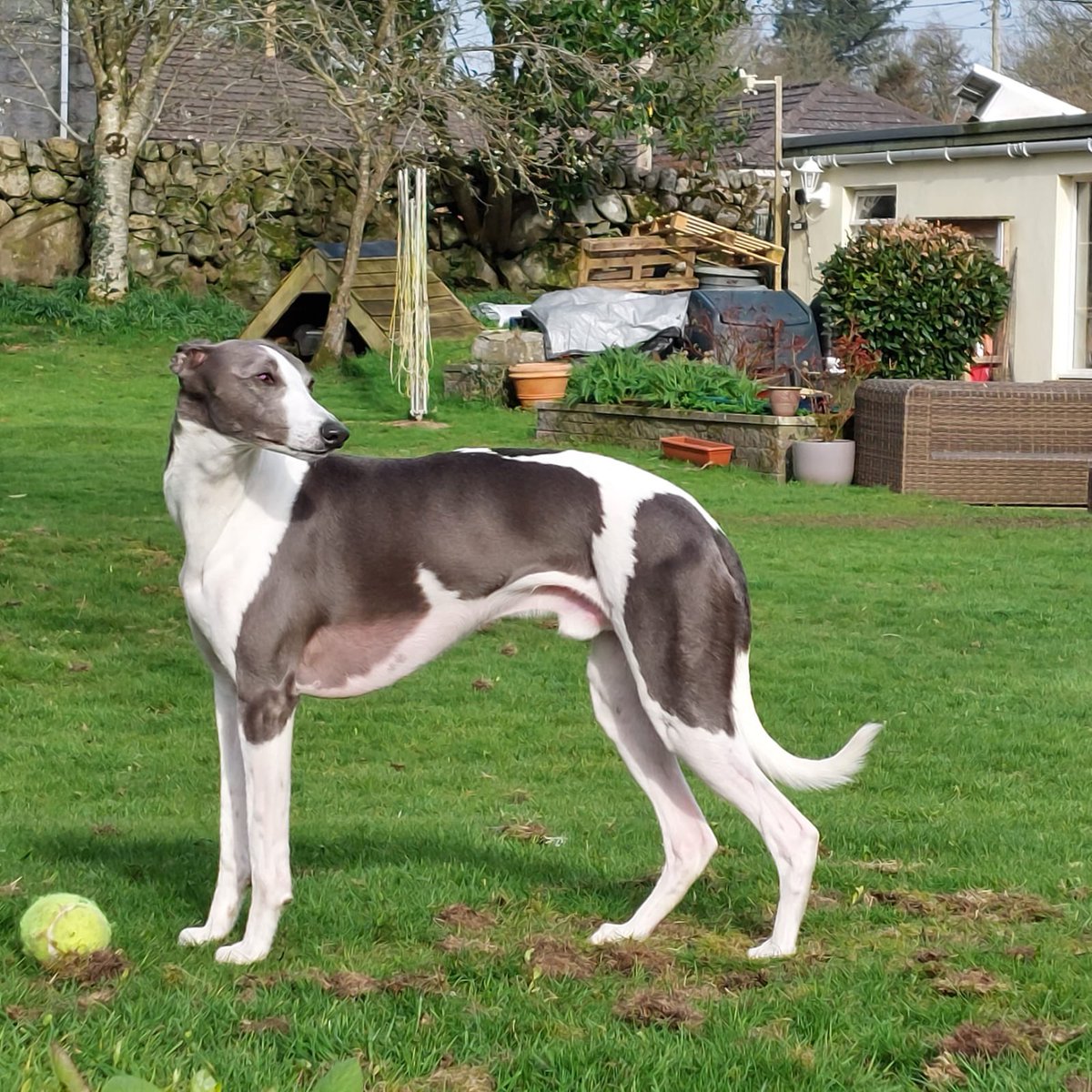 Spring is in the air, and I feel magnificent!