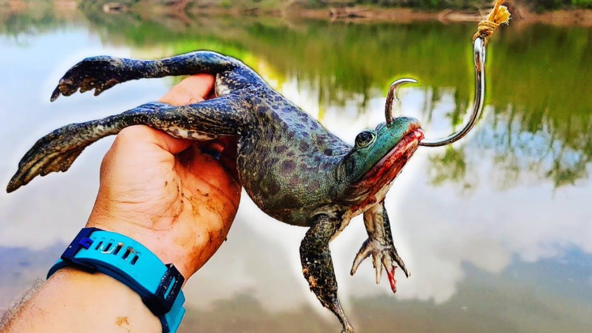 fishing and life (@fishing188) / Posts / X