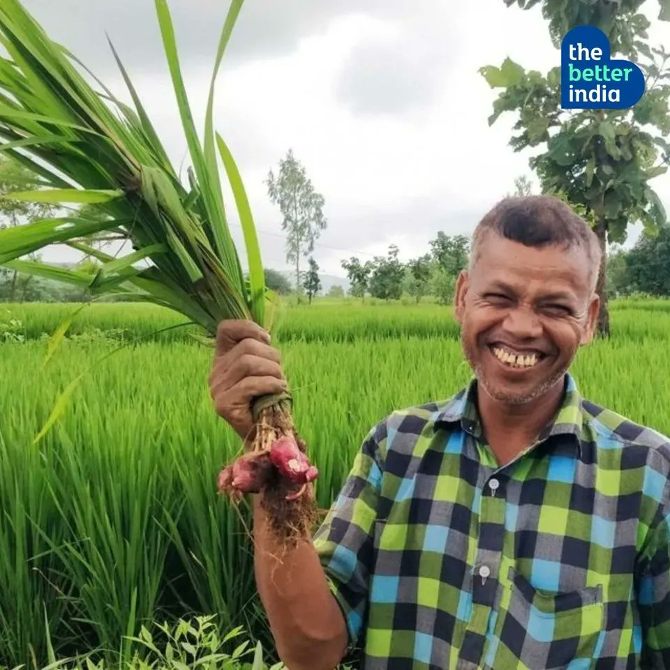 The Better India on Twitter "Sitaram Bhusare of Nashik grows turmeric