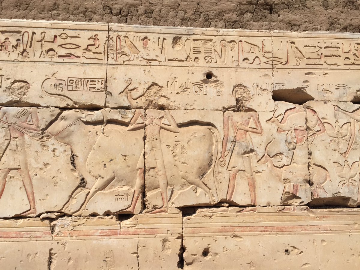 landoflove20's tweet photo. This temple was also dedicated mainly to #Osiris though, while built when Ramesses2 was still co-ruler with #Seti1,it retained a more conventional design patterned after contemporary #mortuary temples at #Thebes.Z walls of Z temple,made of limestone https://t.co/VBBI29b9CR