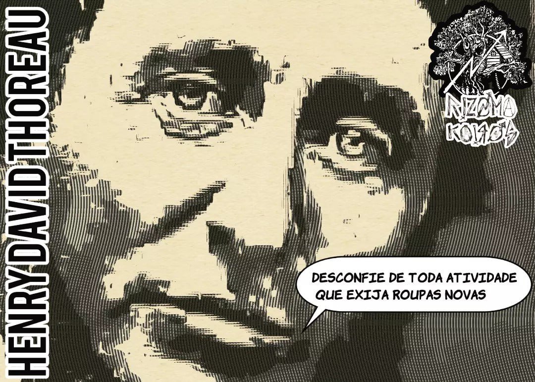 Flores no zapato Ⓐ (@floresnozapato) on Twitter photo 
