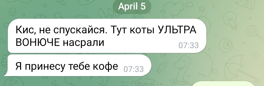 lastbirdofsouth's tweet image. Утро начинается всё же с кофе