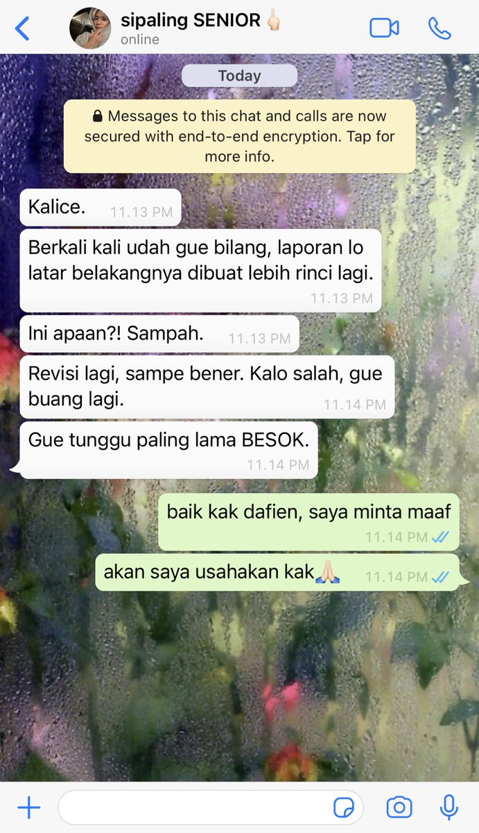 moje ✮ tweet media