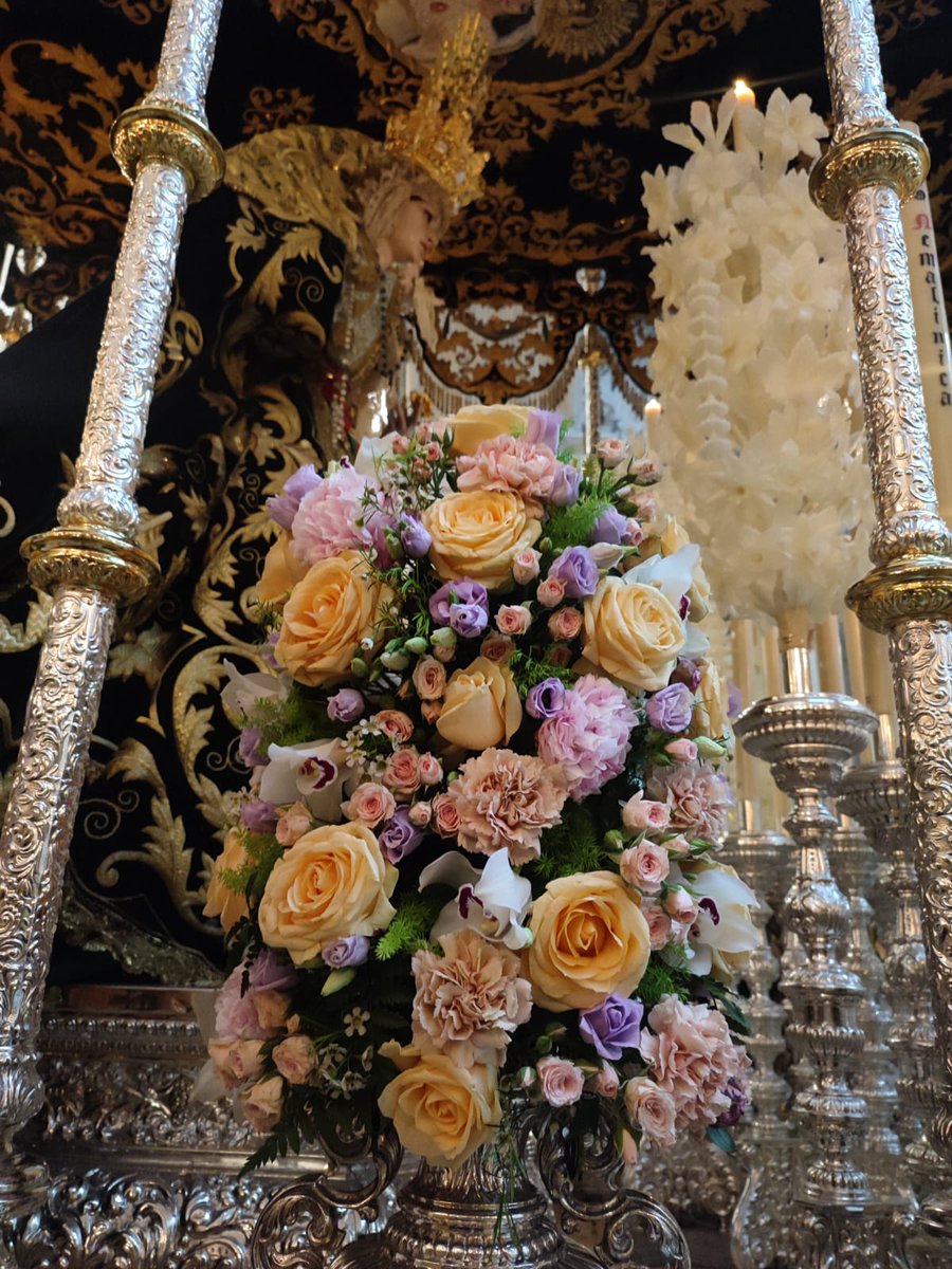 Hermandad de Las Cigarreras - Cádiz tweet media