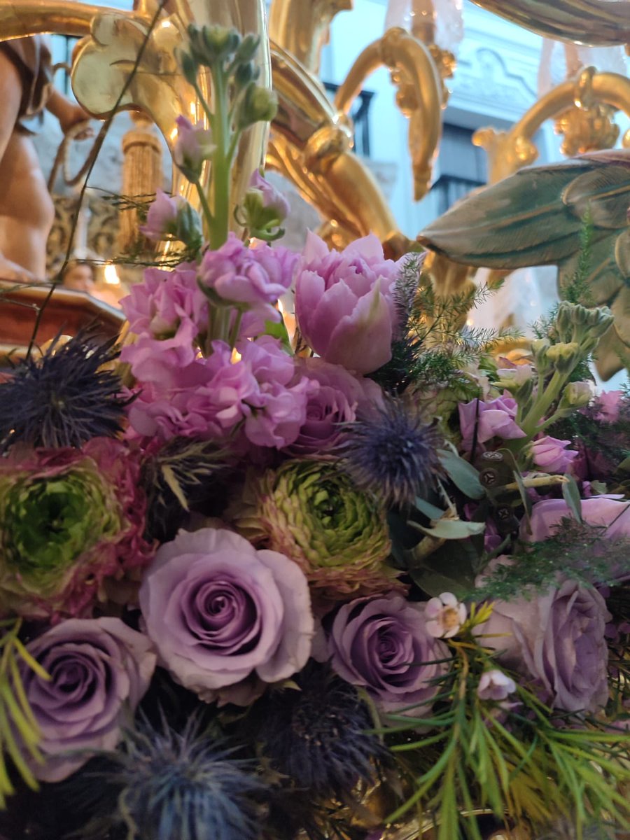 Hermandad de Las Cigarreras - Cádiz tweet media