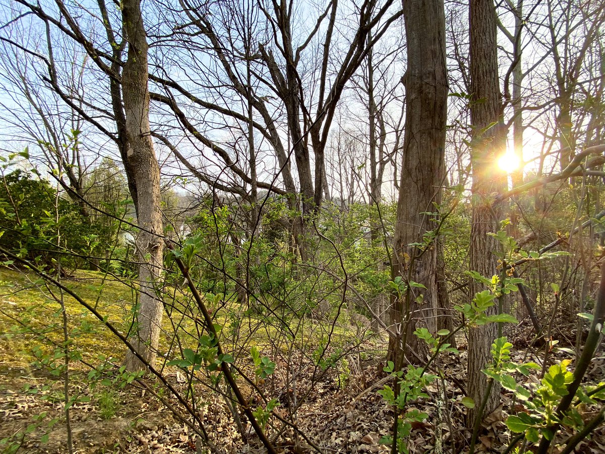 wv_funnyman's tweet photo. Good morning from Fayette County, West Virginia!! https://t.co/S4nMbdsnpc