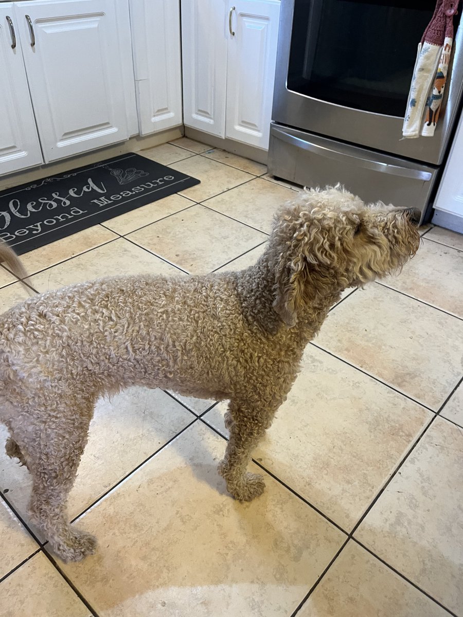 posting my lil nugget for y’all to see