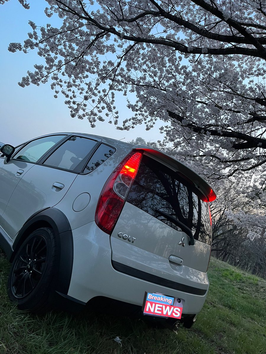 𝑀𝓎 𝒸𝒶𝓇×𝒞𝒽𝑒𝓇𝓇𝓎 𝒷𝓁𝑜𝓈𝓈𝑜𝓂